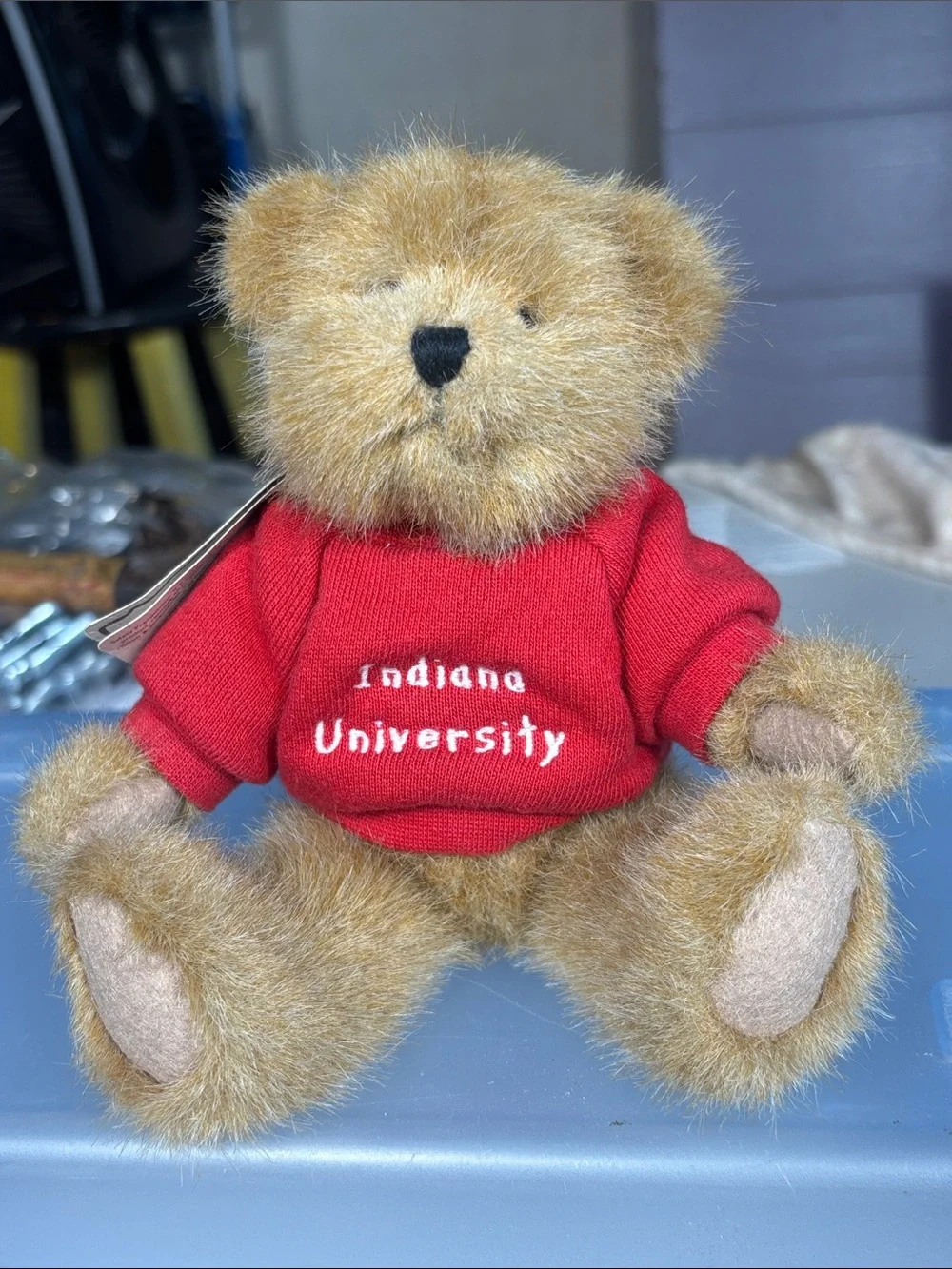 Boyds Head Bean Indiana University Teddy Bear Plush IU Hoosiers 5” With Hang Tag - Picture 1 of 15